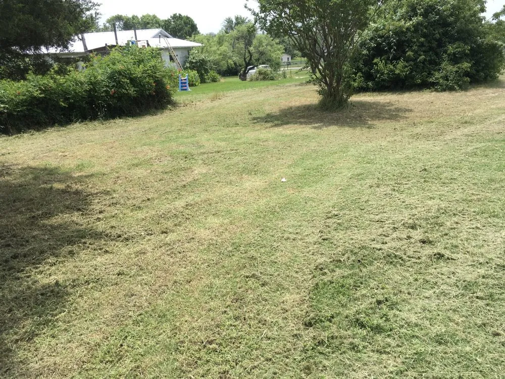 Professional yard cleanup service with custom design in Joshua, TX by CoVi Land Services