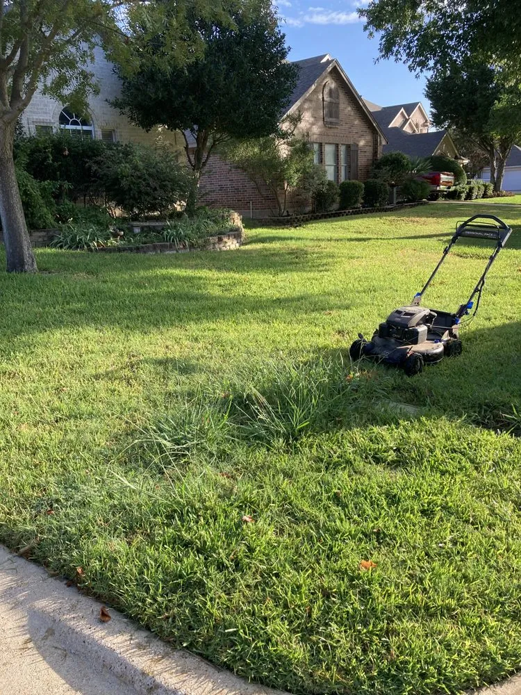 Custom yard cleanup service in Joshua, TX by CoVi Land Services