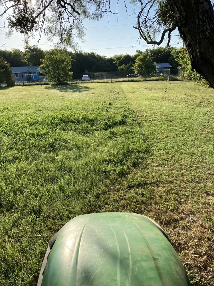 Expert yard cleanup service experts serving Joshua, TX - CoVi Land Services