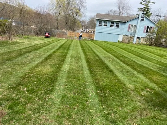 Local yard cleanup service for beautiful yards across Carmel Hamlet, NY - Coviello’s Landscaping