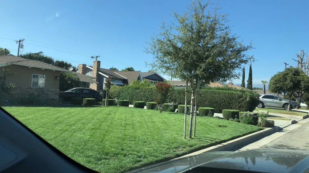 Local yard maintenance in Canby, OR by Covina Hills Landscaping