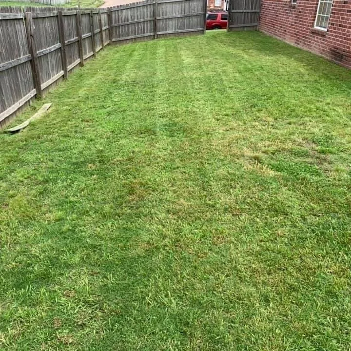 Expert lawn care service near you in Covington, KY by Covington Lawn Care