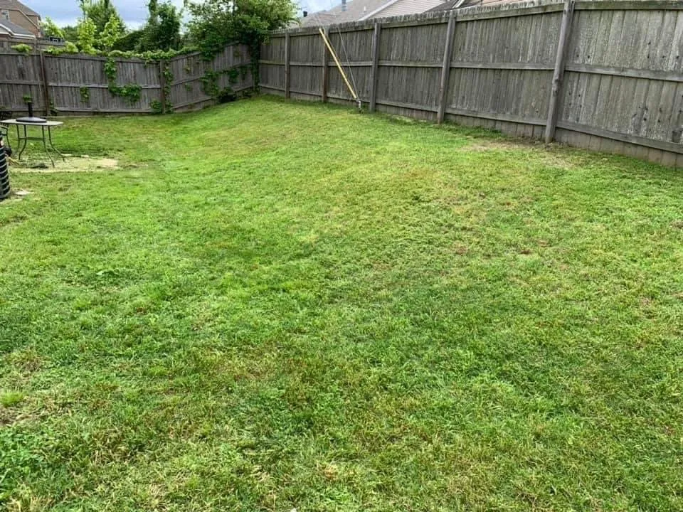 Top-rated lawn mowing service for year-round maintenance in Covington, KY by Covington Lawn Care