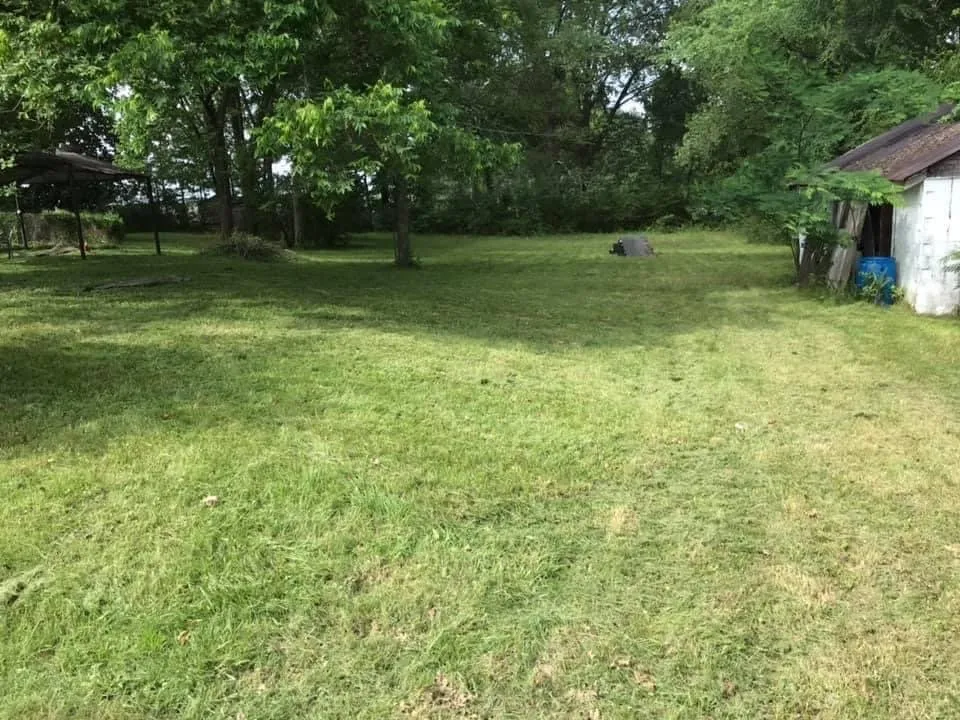 Trusted yard cleanup service in Covington, KY - Covington Lawn Care