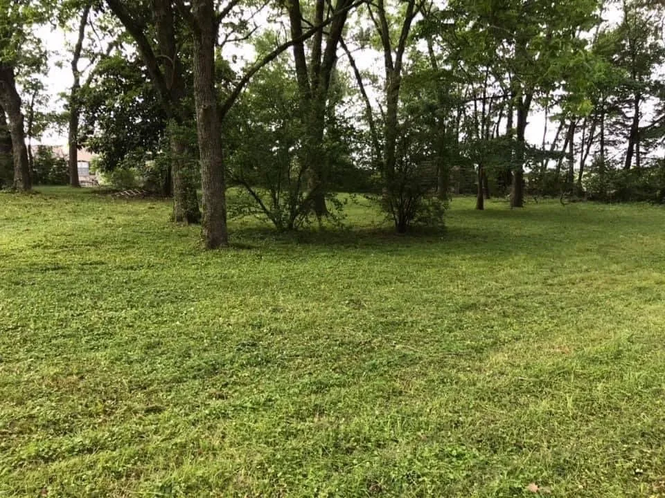 Expert residential landscaping in Covington, KY by Covington Lawn Care