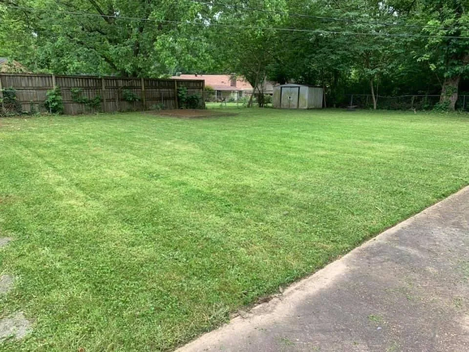 Top-rated landscape installation experts serving Covington, KY - Covington Lawn Care