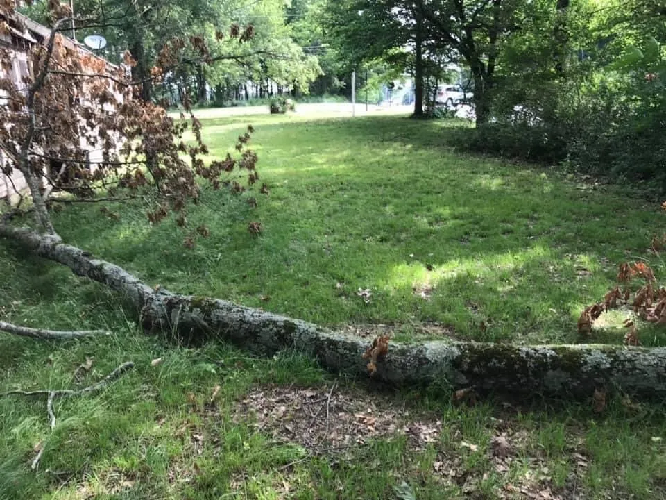 Reliable lawn care service near you across Covington, KY - Covington Lawn Care