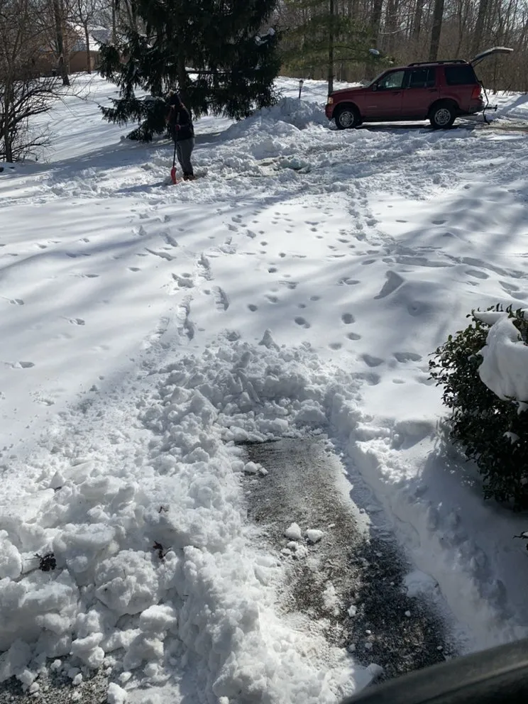 Professional landscape installation for residential properties in Covington, KY by Covington Lawn Care