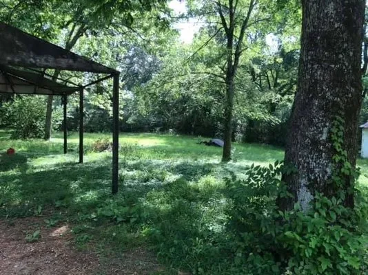 Covington Lawn Care Logo