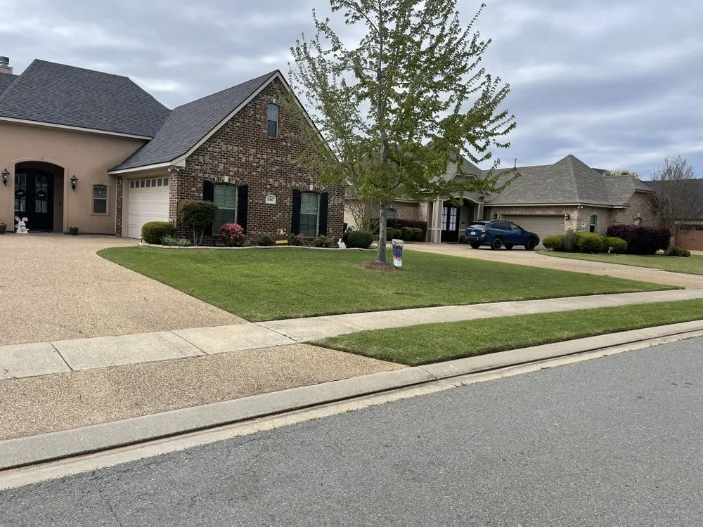 Expert yard cleanup service in Benton, LA by Covington's Lawn and Pool Maintenance