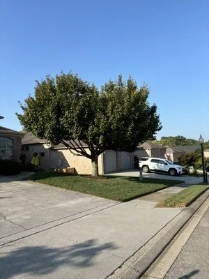 Covington’s Lawn Care and Landscaping Logo