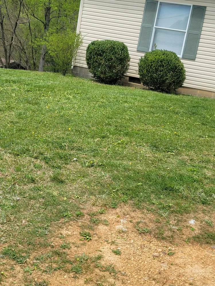 Local outdoor landscaping in Morristown, TN - Covington's lawncare