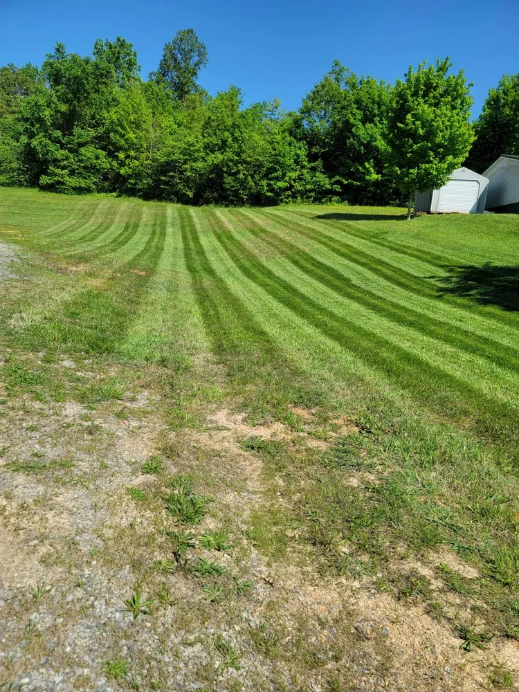 Custom yard cleanup service experts serving Morristown, TN - Covington's lawncare