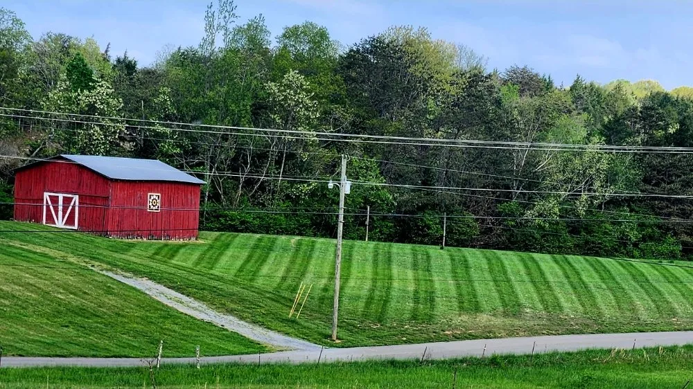 Expert yard cleanup service for residential properties in Morristown, TN by Covington's lawncare