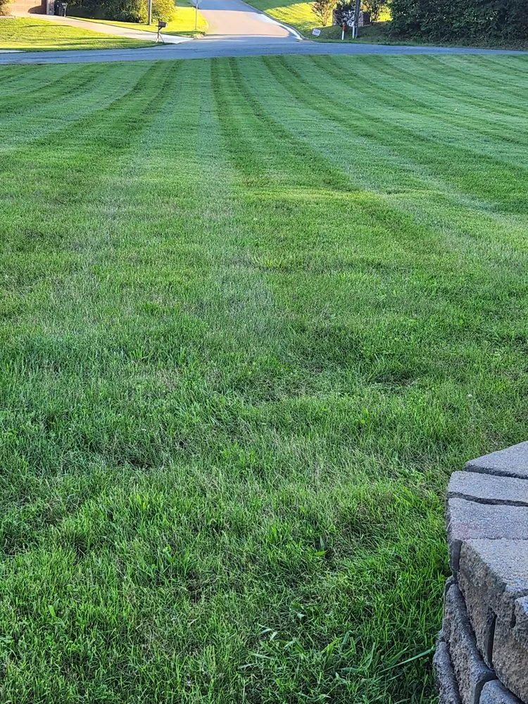 Expert lawn care service in Morristown, TN - Covington's lawncare