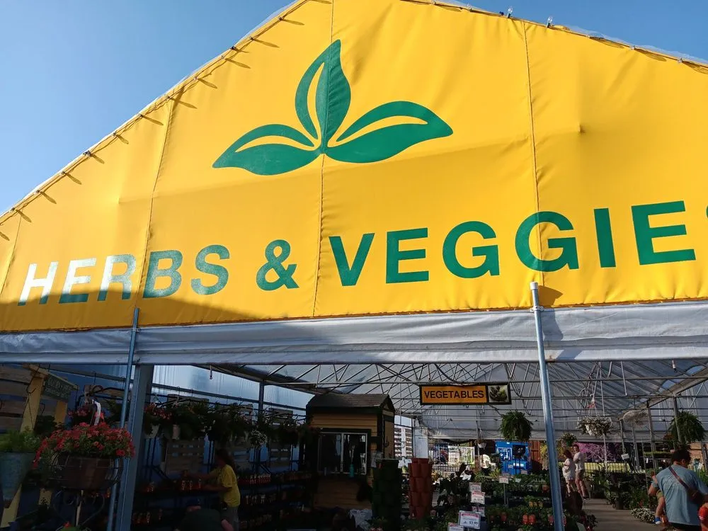 Custom lawn mowing service in Rowlett, TX by Covington's Nursery & Landscape