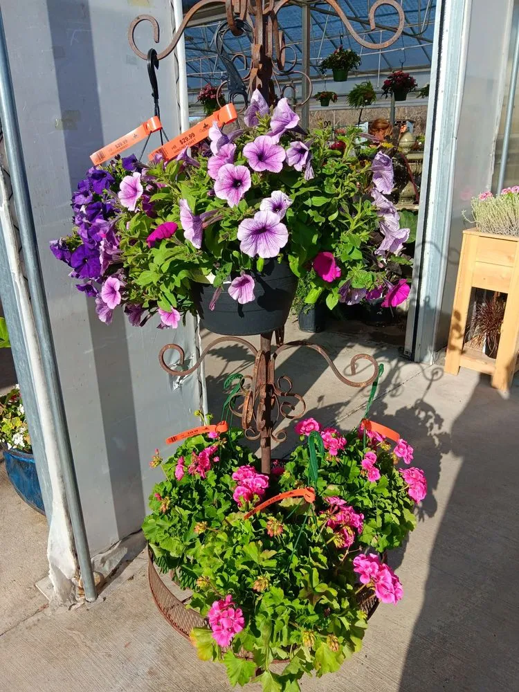 Reliable landscape design in Rowlett, TX by Covington's Nursery & Landscape