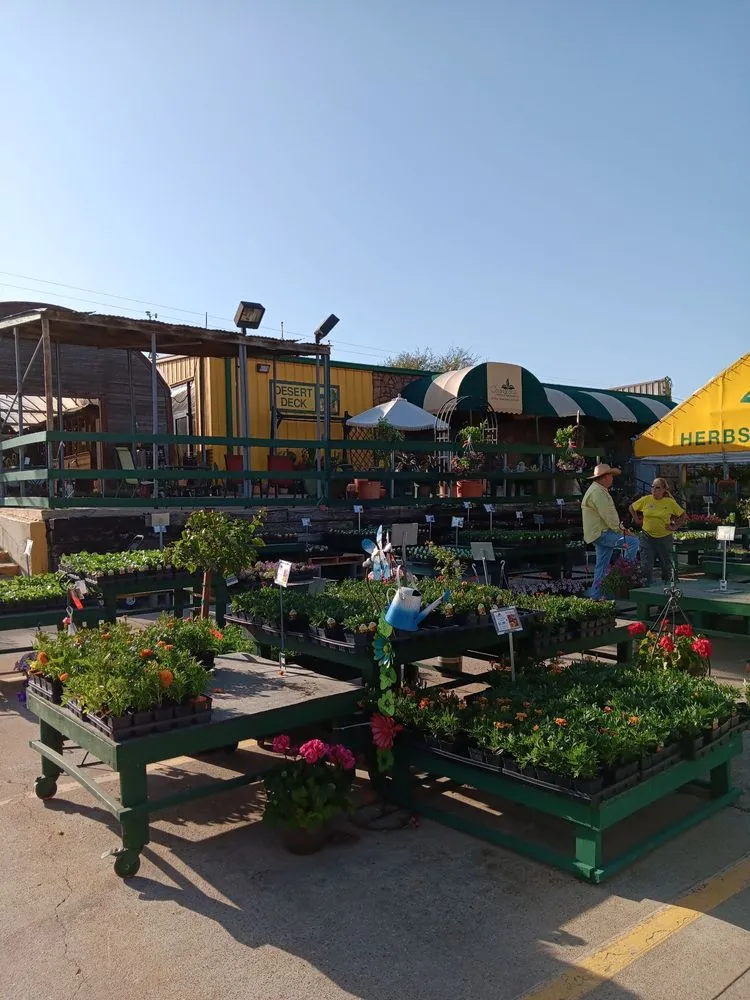 Affordable landscaping services for year-round maintenance across Rowlett, TX - Covington's Nursery & Landscape