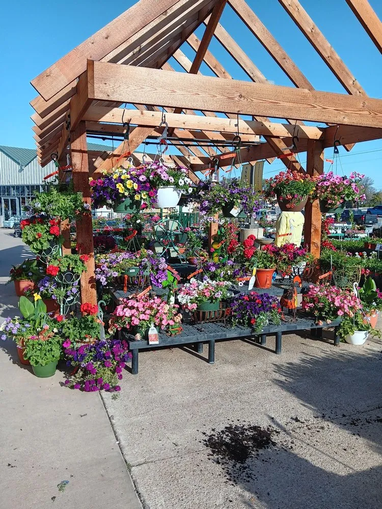 Custom yard maintenance in Rowlett, TX - Covington's Nursery & Landscape