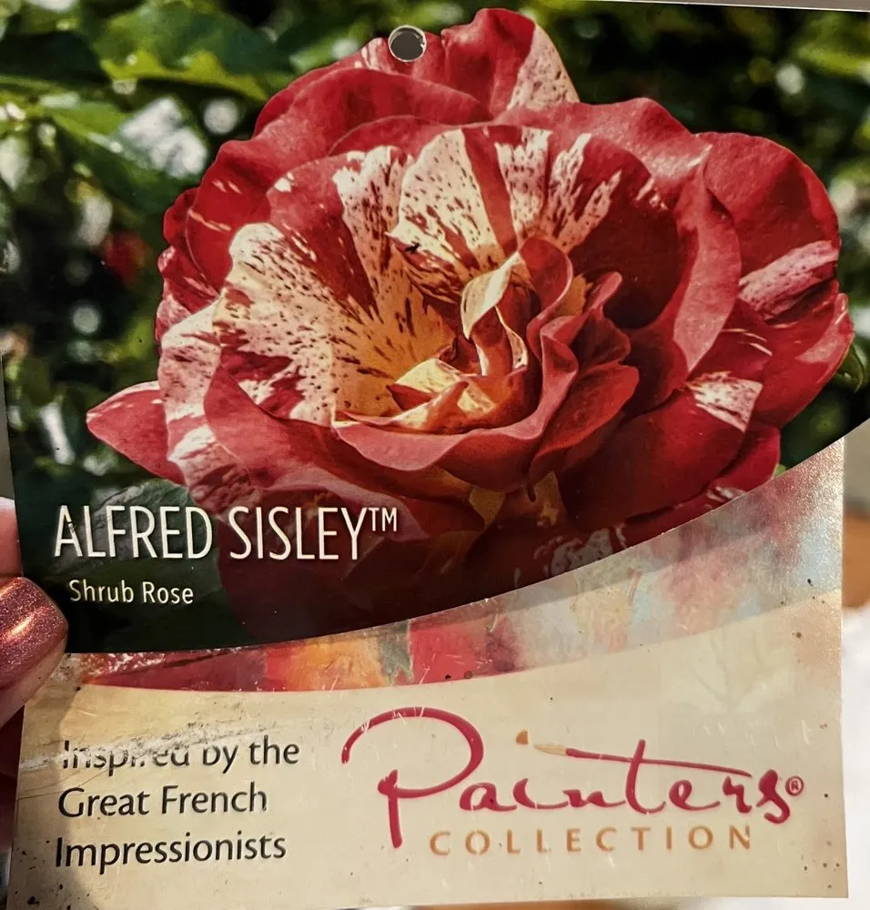 Local garden landscaping for outdoor upgrades across Rowlett, TX - Covington's Nursery & Landscape