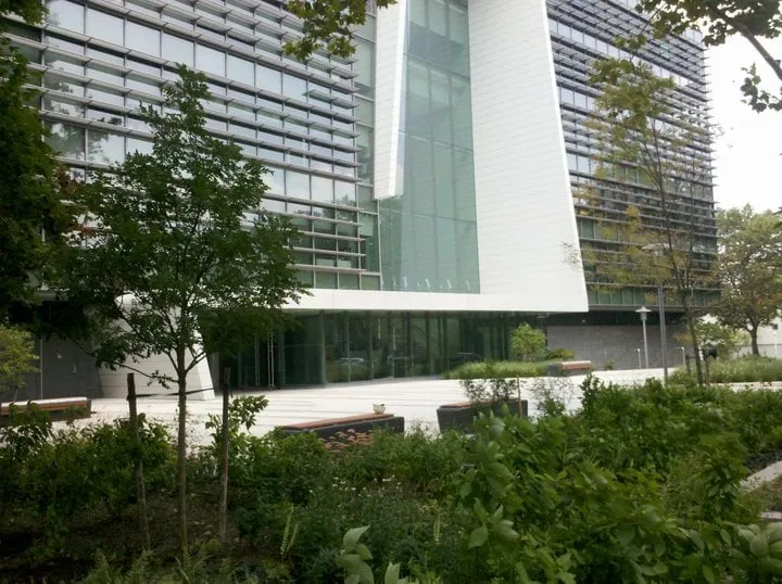 Affordable landscape design in Port Washington, NY by Cow Bay Contracting