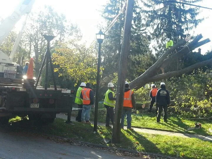 Trusted outdoor landscaping in Port Washington, NY - Cow Bay Contracting