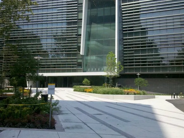 Top-rated landscape installation for homes across Port Washington, NY - Cow Bay Contracting