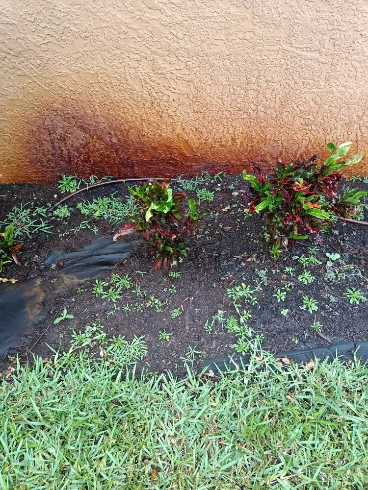 Custom landscape design for homes in Port St. Lucie, FL by Cowart's Cutz