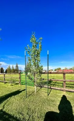 Cowboy Country Landscapes