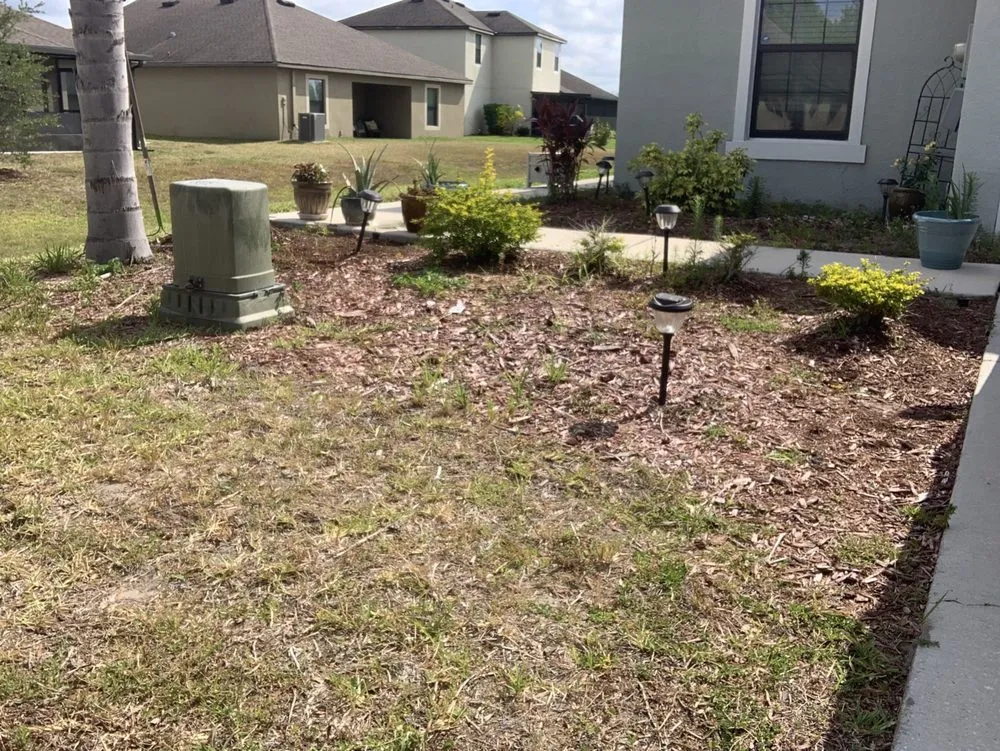Top-rated lawn care service in Lakeland, FL by Cowboy Cuts Landscaping