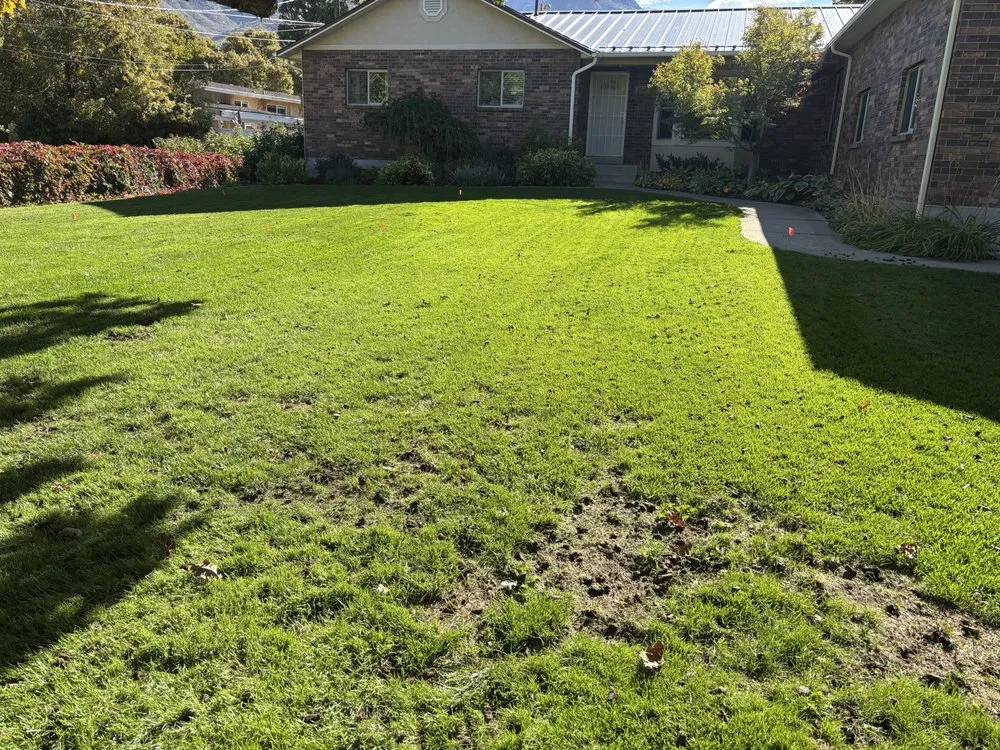 Professional landscape installation for year-round maintenance across Salt Lake City, UT - Cowboy Cuts Lawn Care Services