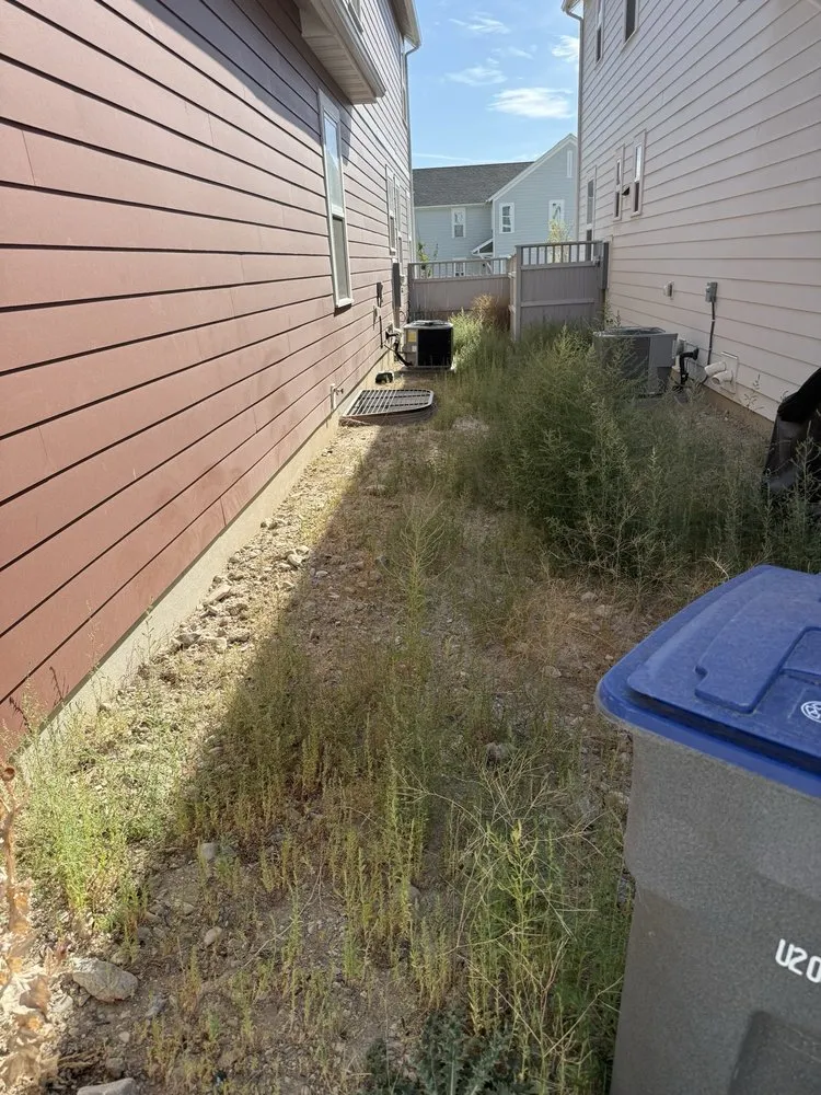 Professional yard cleanup service for homes in Salt Lake City, UT by Cowboy Cuts Lawn Care Services