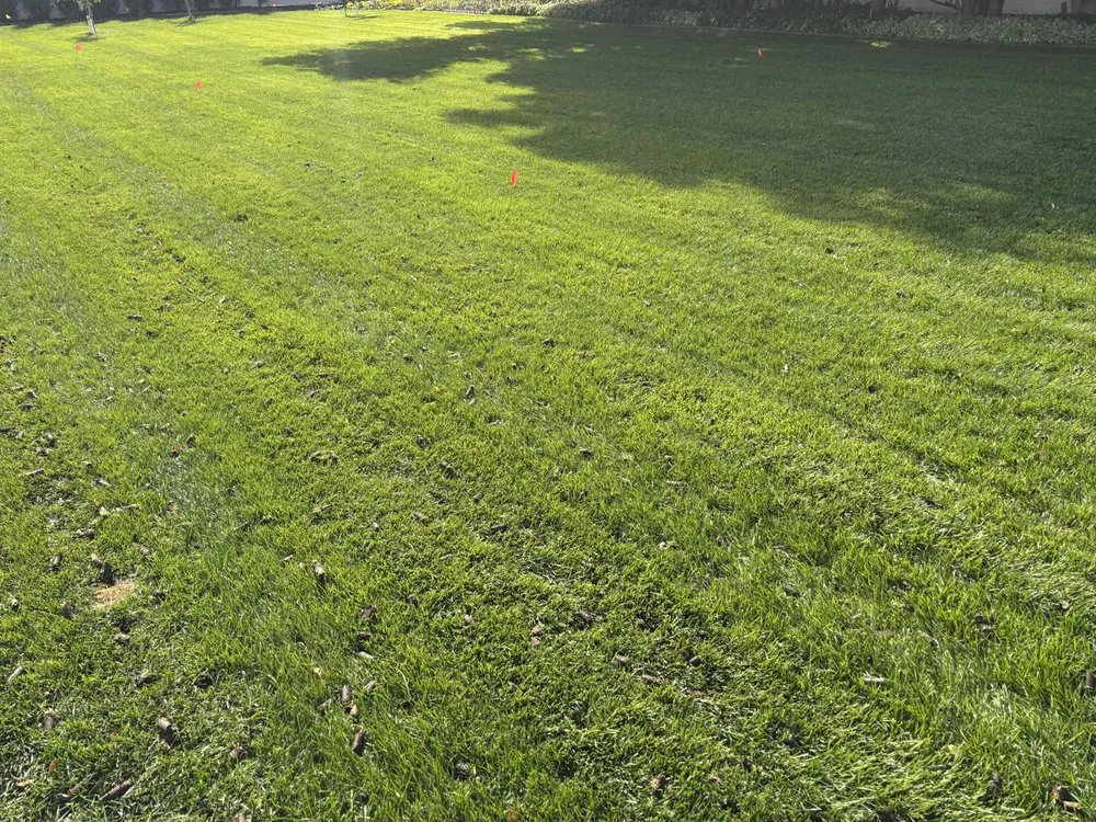 Trusted yard cleanup service in Salt Lake City, UT - Cowboy Cuts Lawn Care Services