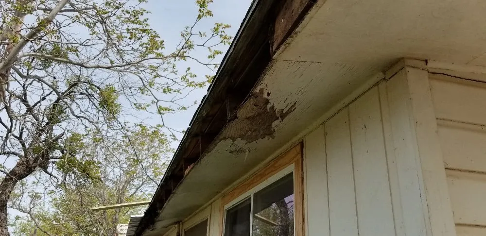 Trusted yard maintenance for homes across Baird, TX - Cowboy for Christ Contracting and Landscaping