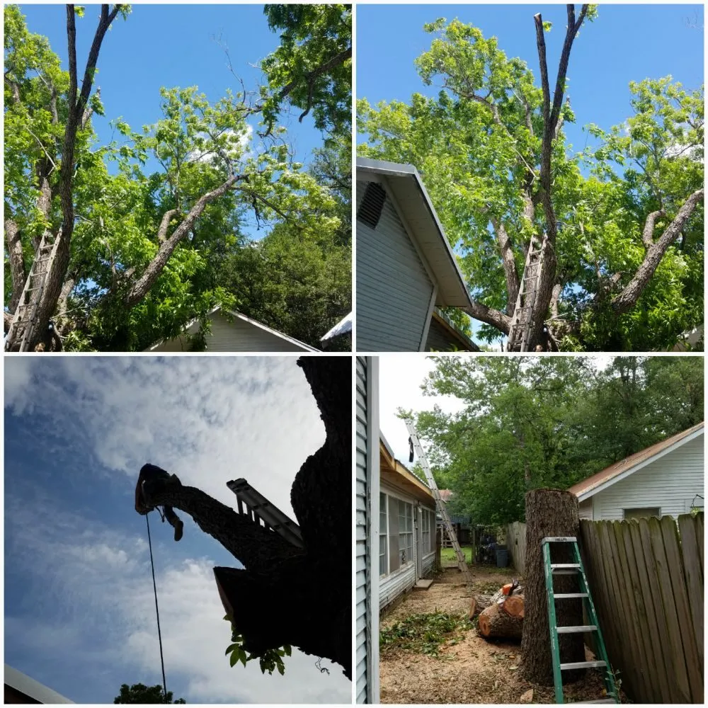 Local lawn care service experts serving Lockhart, TX - Cowboy Land Clearing and Cedar Removal