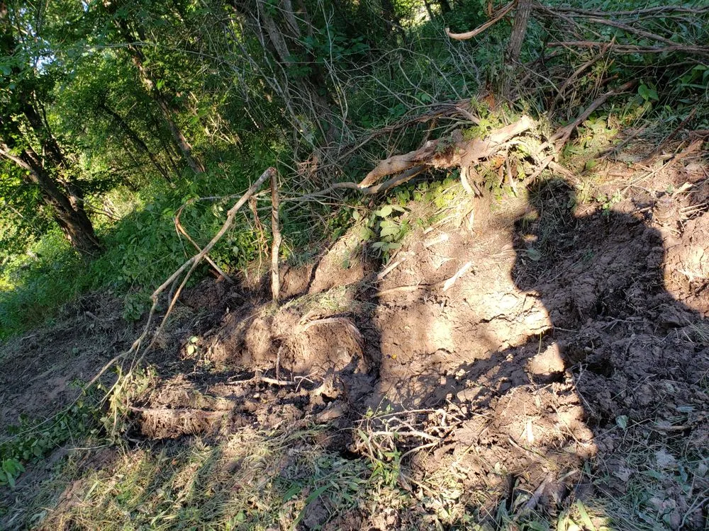 Professional garden landscaping experts serving Lockhart, TX - Cowboy Land Clearing and Cedar Removal