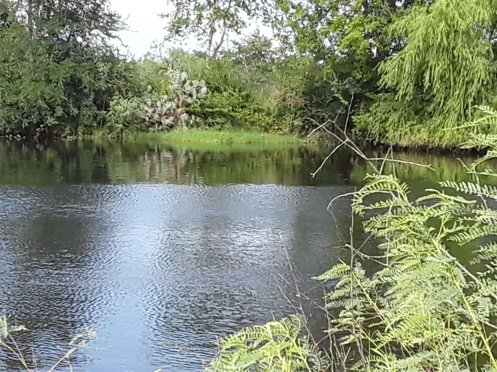 Trusted garden landscaping in Lockhart, TX by Cowboy Land Clearing and Cedar Removal