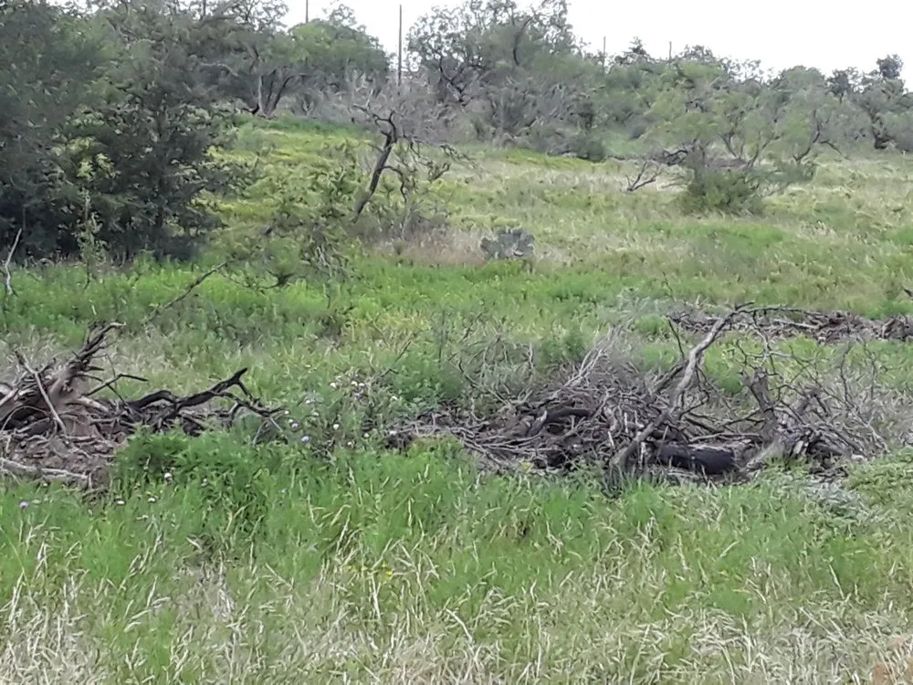 Trusted outdoor landscaping in Lockhart, TX by Cowboy Land Clearing and Cedar Removal