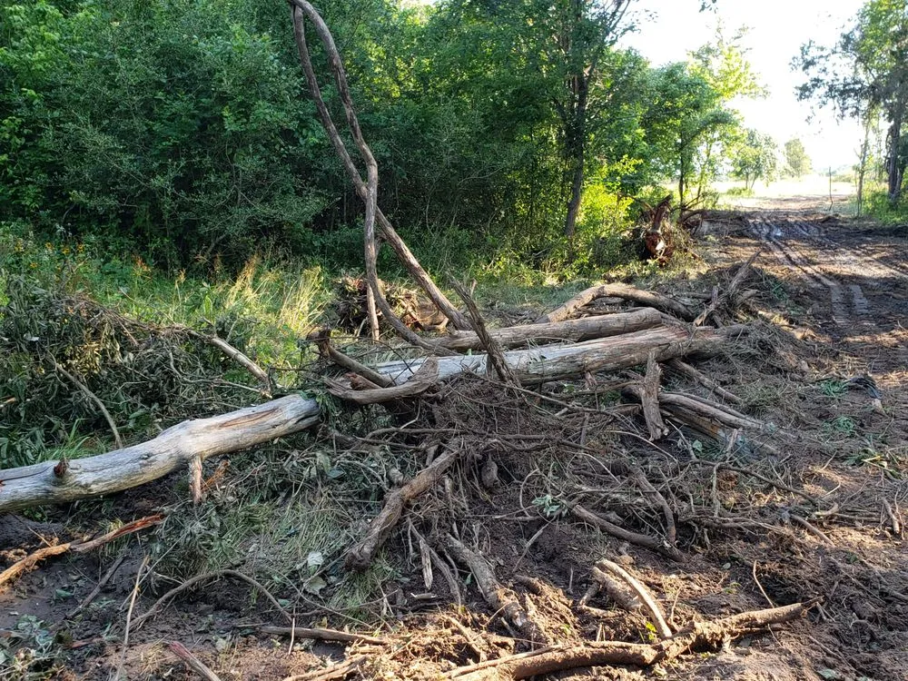 Trusted landscape design for homes across Lockhart, TX - Cowboy Land Clearing and Cedar Removal