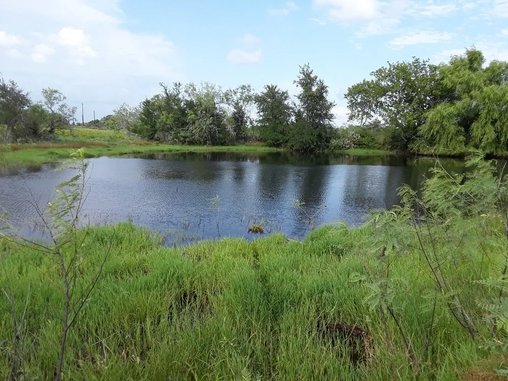 Local landscape design for homes across Lockhart, TX - Cowboy Land Clearing and Cedar Removal