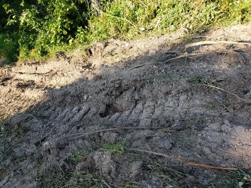 Reliable landscaping services in Lockhart, TX - Cowboy Land Clearing and Cedar Removal