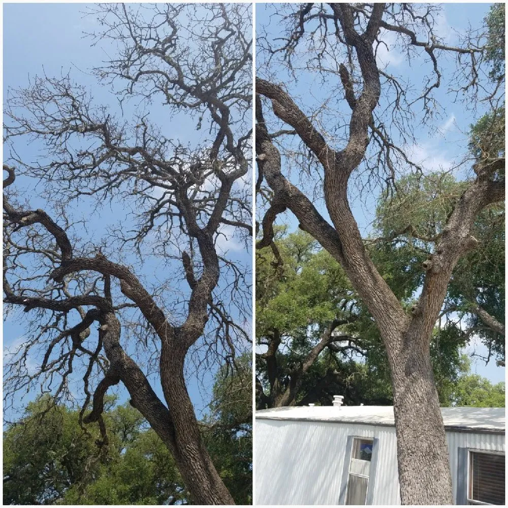 Trusted outdoor landscaping in Lockhart, TX by Cowboy Land Clearing and Cedar Removal