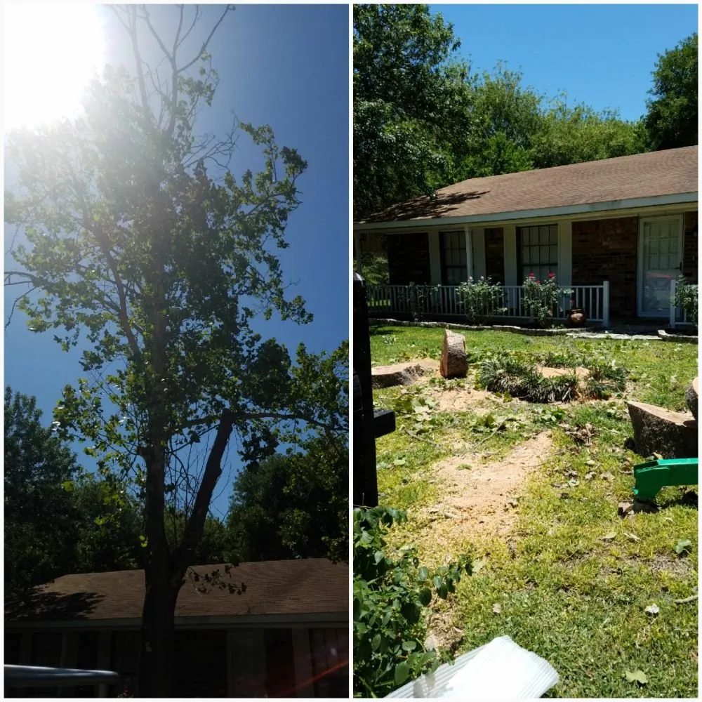 Professional lawn mowing service experts serving Lockhart, TX - Cowboy Land Clearing and Cedar Removal