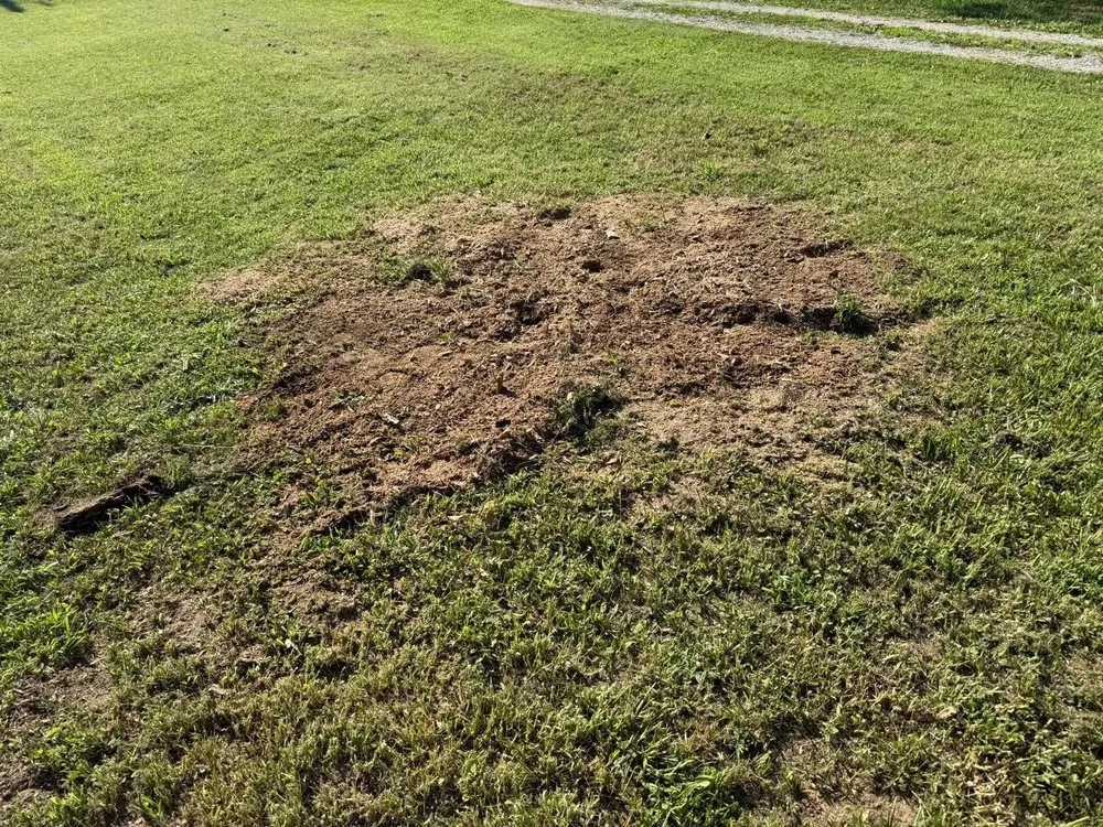 Local yard maintenance in Cookeville, TN - Cowboy Land Service