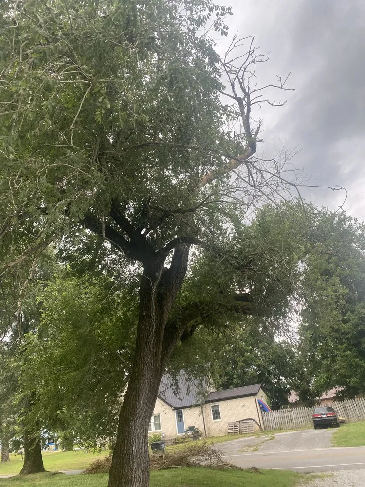 Trusted yard maintenance in Cookeville, TN - Cowboy Land Service