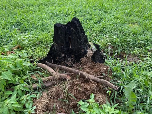 Cowboy Land Service Logo