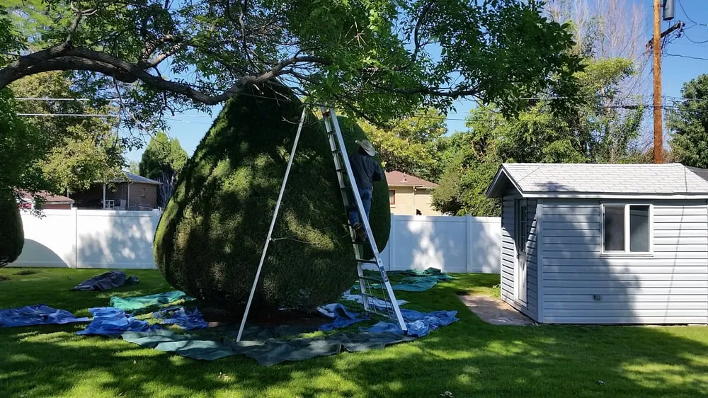 Reliable landscape design experts serving Westminster, CO - Cowboy Landscaping