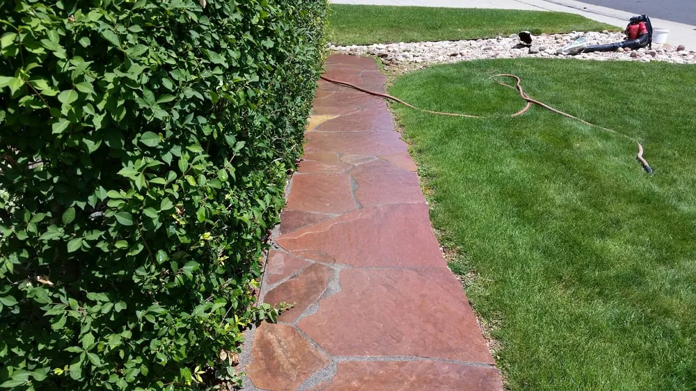 Trusted residential landscaping experts serving Westminster, CO - Cowboy Landscaping