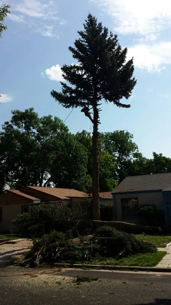 Custom outdoor landscaping experts serving Westminster, CO - Cowboy Landscaping