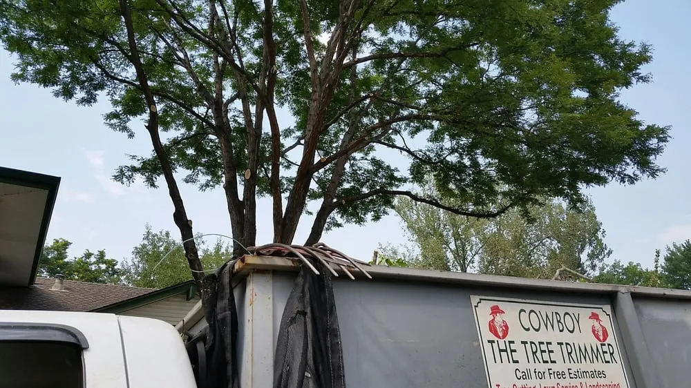 Custom lawn care service experts serving Westminster, CO - Cowboy Landscaping